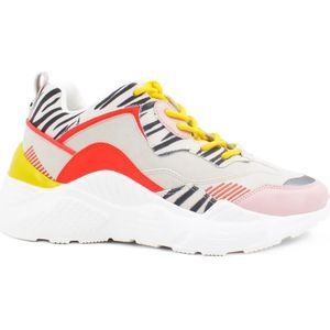 Steve Madden, Dames, Schoenen, Veelkleurig, Maat: 39 EU Leer,