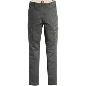 Levi'svoor mannen. A7364-0002 Xx Cargo Rechte Broek Grijs (32/32), Casual, Katoen