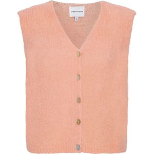 Americandreams, Dames, Truien, Oranje, Maat: S Wol,