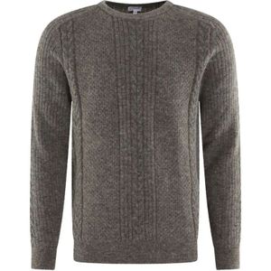 Pal Zileri, Heren, Truien, Grijs, Maat: L Nylon,