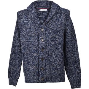 Brunello Cucinelli, Heren, Truien, Blauw, Maat: L