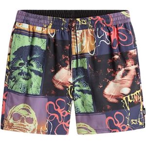 Vans, Heren, Badkleding, Veelkleurig, Maat: L Poliester,