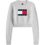 Tommy Jeans - Trui - Navy / Lichtgrijs / Rood / Wit