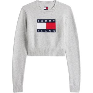Tommy Jeans - Trui - Navy / Lichtgrijs / Rood / Wit