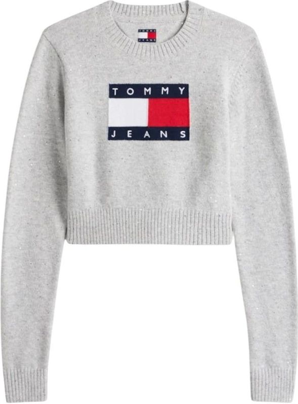 Tommy Jeans - Trui - Navy / Lichtgrijs / Rood / Wit