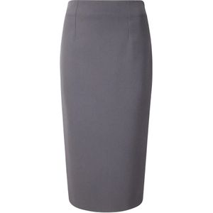 Alberto Biani, Dames, Rokken, Grijs, Maat: M