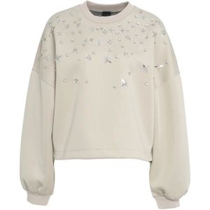 Pinko, Dames, Sweatshirts & Hoodies, Grijs, Maat: M Poliester,