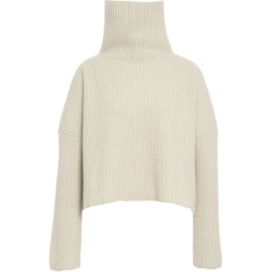 Roberto Collina, Dames, Truien, Beige, Maat: M Wol,