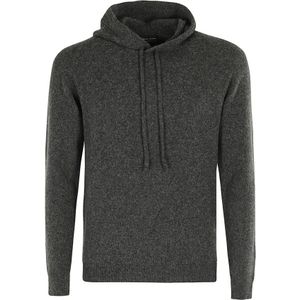 Roberto Collina, Heren, Sweatshirts & Hoodies, Grijs, Maat: 2XL Wol,