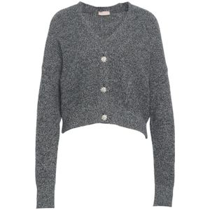 Liu Jo, Dames, Truien, Grijs, Maat: S