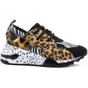 Steve Madden, Dames, Schoenen, Veelkleurig, Maat: 35 EU Leer,