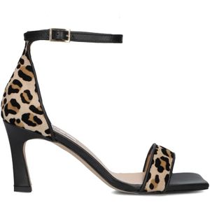 Notre-v, Dames, Schoenen, Zwart, Maat: 35 EU