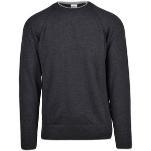 Eleventy, Heren, Truien, Grijs, Maat: L Kasjmier,