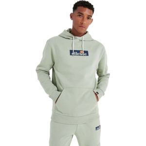 Ellesse, Heren, Sweatshirts & Hoodies, Groen, Maat: S