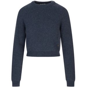 Moschino, Dames, Truien, Blauw, Maat: XS Wol,