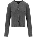 Weekend Max Mara, Dames, Truien, Grijs, Maat: XS Wol,