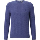 Polo Ralph Lauren, Heren, Truien, Blauw, Maat: 2XL Katoen,