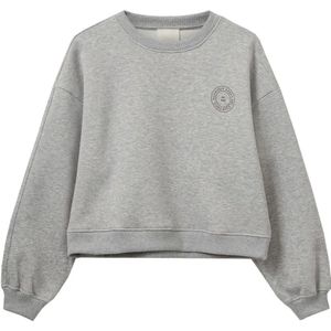 Sofie Schnoor, Dames, Sweatshirts & Hoodies, Grijs, Maat: XS Leer,