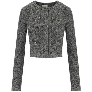 Elisabetta Franchi, Dames, Truien, Grijs, Maat: M Wol,