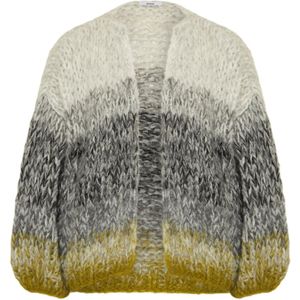 Maiami, Dames, Truien, Veelkleurig, Maat: S Leer,