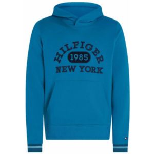 Tommy Hilfiger, Heren, Sweatshirts & Hoodies, Blauw, Maat: S