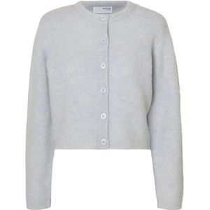 Selected Femme, Dames, Truien, Blauw, Maat: M