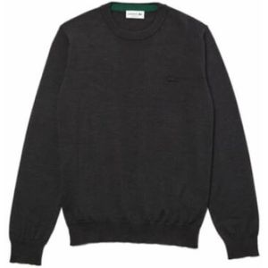 Lacoste, Heren, Truien, Grijs, Maat: XS Katoen,