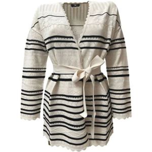 Elisabetta Franchi, Dames, Truien, Wit, Maat: XS Viscose,