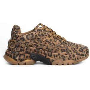 Ash, Dames, Schoenen, Veelkleurig, Maat: 39 EU Suède,