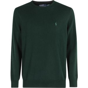 Polo Ralph Lauren, Heren, Truien, Groen, Maat: S