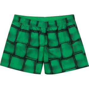 Bottega Veneta, Heren, Badkleding, Groen, Maat: M Polyamide,