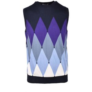 Ballantyne, Heren, Truien, Blauw, Maat: M Katoen,