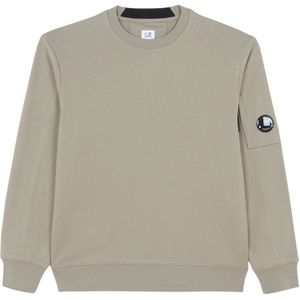 C.p. Company, Heren, Sweatshirts & Hoodies, Grijs, Maat: L Katoen,