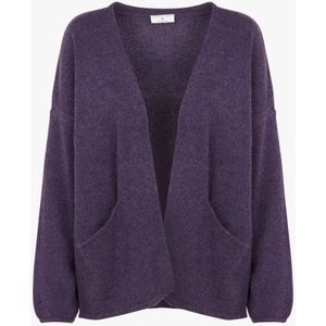 Des Petits Hauts, Dames, Truien, Paars, Maat: S Wol,