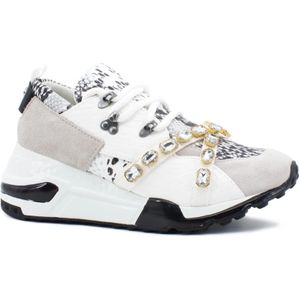 Steve Madden, Dames, Schoenen, Veelkleurig, Maat: 38 1/2 EU Leer,