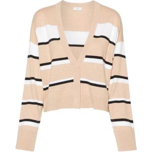 Peserico, Dames, Truien, Veelkleurig, Maat: 2XL Wol,