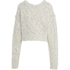 Won Hundred, Dames, Truien, Grijs, Maat: M