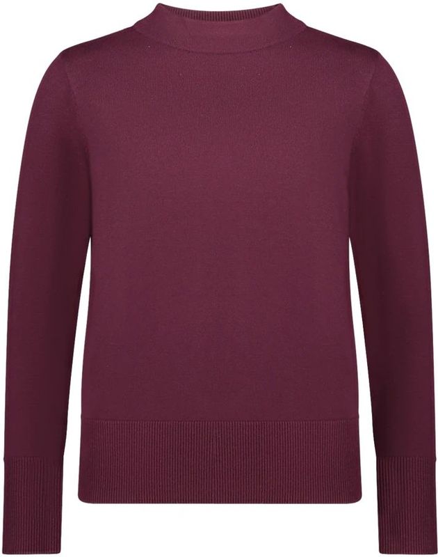 Betty Barclay, Dames, Truien, Paars, Maat: S