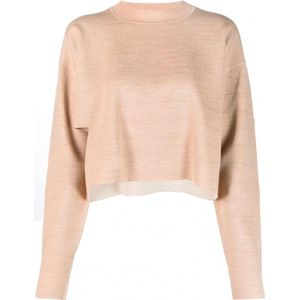 Fendi, Dames, Truien, Grijs, Maat: M Wol,