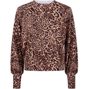 Twinset, Dames, Truien, Bruin, Maat: S