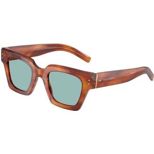 Dolce & Gabbana, Heren, Accessoires, Bruin, Maat: 48 MM Polyamide,