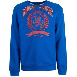 Tommy Hilfiger, Heren, Sweatshirts & Hoodies, Veelkleurig, Maat: M
