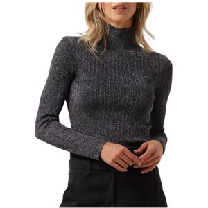 Suncoo, Dames, Truien, Grijs, Maat: XS Viscose,