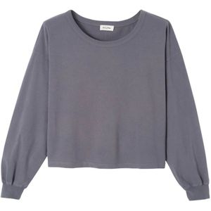 American Vintage, Dames, Sweatshirts & Hoodies, Grijs, Maat: L
