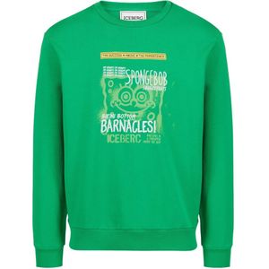 Iceberg, Heren, Sweatshirts & Hoodies, Groen, Maat: M Katoen,