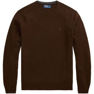 Polo Ralph Lauren, Heren, Truien, Bruin, Maat: XL