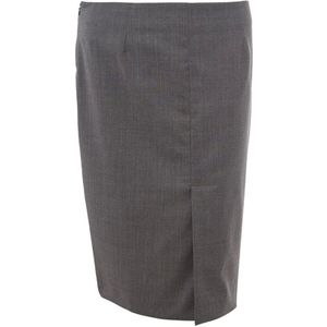 Lardini, Dames, Rokken, Grijs, Maat: XS Wol,