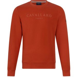 Cavallaro, Heren, Sweatshirts & Hoodies, Oranje, Maat: L Katoen,