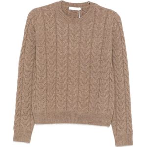 Max Mara, Dames, Truien, Bruin, Maat: L Kasjmier,