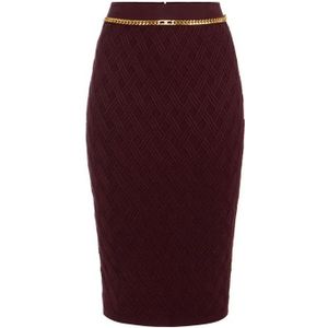 Elisabetta Franchi, Dames, Rokken, Bruin, Maat: S Viscose,